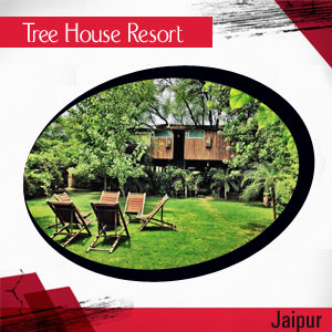 India Holidays  A Look at Best Tree House Hotels in India