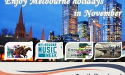 November Promises a Whale of Time in Melbourne s