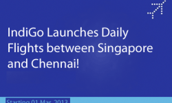 IndiGo Launches Daily Flights between Singapore and Chennai