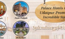 Palace Hotels in Udaipur Promise Incredible Stay