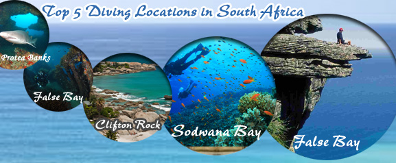 Top 5 Diving Locations in South Africa