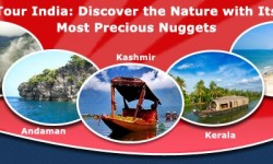 Tour India: Discover the Nature with Its Most Precious Nuggets