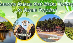 Reasons Galore that Make Holidays to Kerala Popular