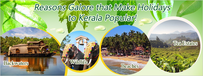 Reasons galore that make holidays to Kerala destinations