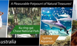 Sydney - A Pleasurable Potpourri of Natural Treasures