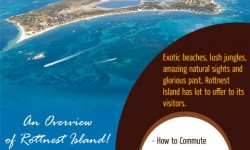 An Overview of Rottnest Island, a Slice of Paradise in Western Australia