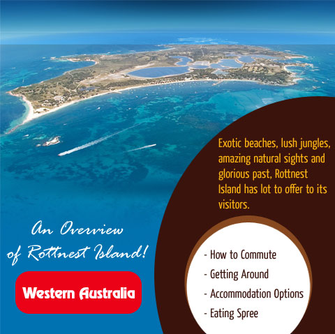 an-overview-of-rottnest-island