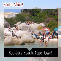 boulders-beach-cape-town