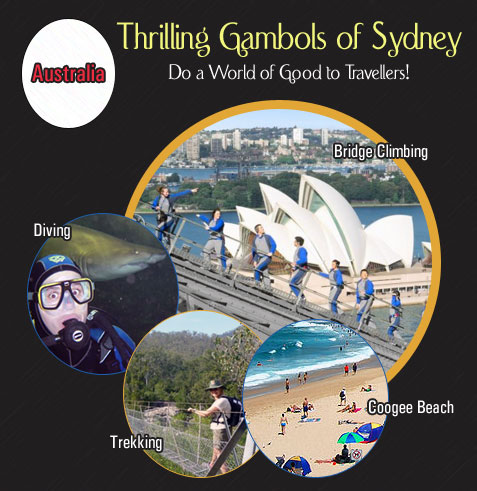 thrilling-gambols-of-sydney-do-a-world-of-good-to-travellers