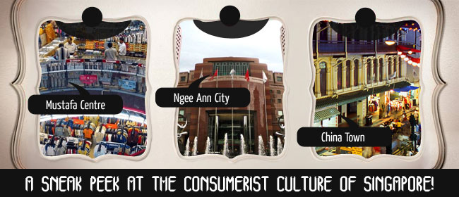 a-sneak-peek-at-the-consumerist-culture-of-singapore