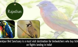 Key Info about India’s Bharatpur Bird Sanctuary