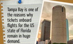 A Quick Look at Some Popular Attractions in Tampa, Florida