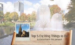 Top 5 Exciting Things to Do in Christchurch This January