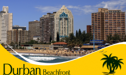 Immerse in the Exhilaration of Attractions and Activities at Durban Beachfront