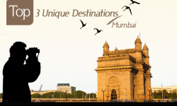 Give Flights to Your Fancies at Top 3 Unique Destinations around Mumbai, India