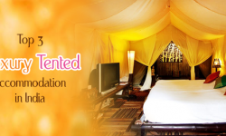 Top 3 Luxury Tented Accommodation Alternatives in India