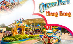 Ocean Park – A Tempting Lure behind the Popularity of Hong Kong Flights!