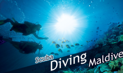 Scuba Diving Tips for the Beginners Who Are Booking Air Tickets to Maldives