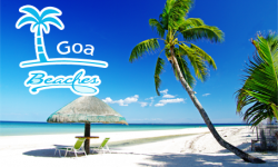Most Popular North Goa Beaches That Compel Foreign Travellers to Book India Flights