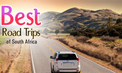 Best Road-Trips to Peep into Diversified and Exciting Facets of South Africa