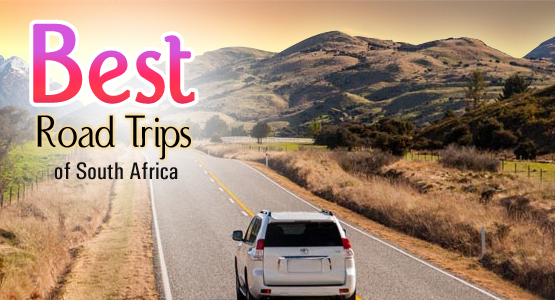 road-trips-of-south-africa