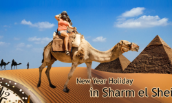 Most Popular Excursions for a Perfect New Year Holiday in Sharm el Sheikh