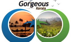 Exploring Gorgeous Kerala in February and March
