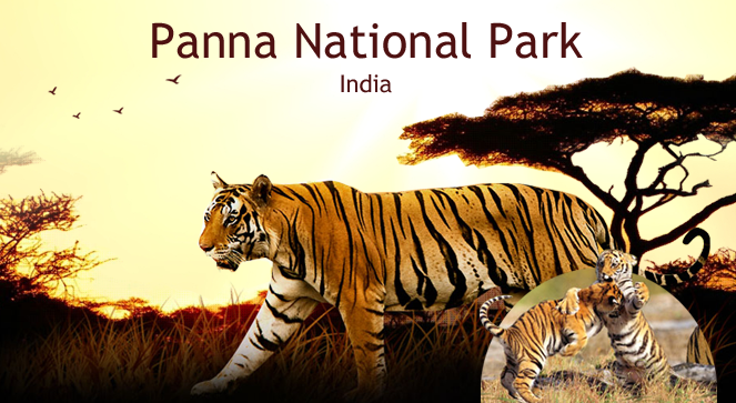 panna-national-park-india