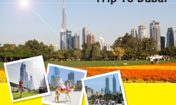 Top 3 Parks to Visit on Your Trip to Dubai