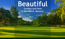Three Beautiful Gardens and Parks in Marrakech, Morocco