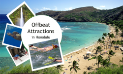 Three Delightful Offbeat Attractions in Honolulu, Hawaii