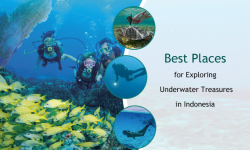 Best Places for Exploring Underwater Treasures in Indonesia