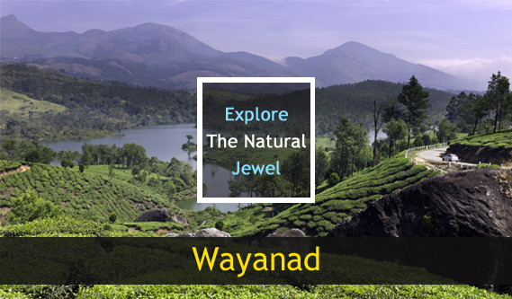 Natural Jewel Wayanad