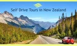 Three Popular Self Drive Tours in New Zealand