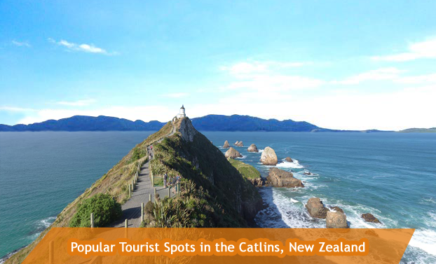 Popular Tourist Spots in the Catlins