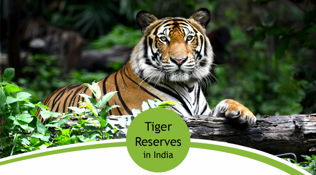 Tiger Reserves in India