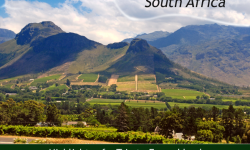 Three Highlights of a Trip to Franschhoek