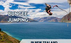 Tips for Bungee Jumping in New Zealand