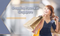Top Shopping Haunts in Singapore