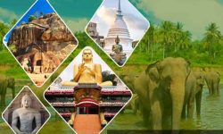 Top Attractions in Sri Lanka