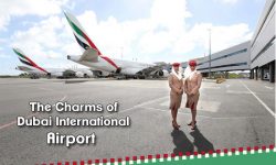 The Charms of Dubai International Airport