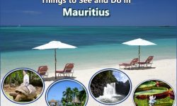 Top 10 Things to See and Do In Mauritius