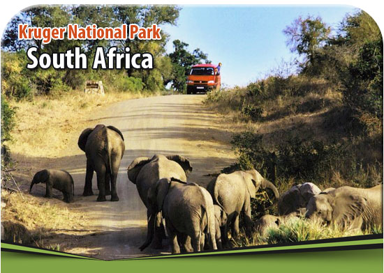 Kruger-National-Park
