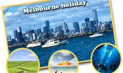 Some of the must-do activities for a marvellous Melbourne holiday