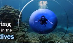 Best Diving Spots in the Maldives