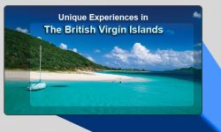 Five Unique Experiences You Can Have In the British Virgin Islands