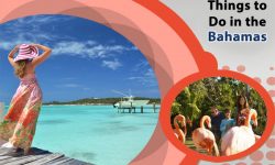 5 Offbeat Things to Do in the Bahamas