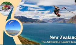 New Zealand - The Adrenaline Junkie’s Jam!