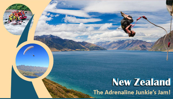 New-Zealand-The-Adrenaline-Junkie-Jam