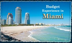 Top Ways to Experience Miami on Budget